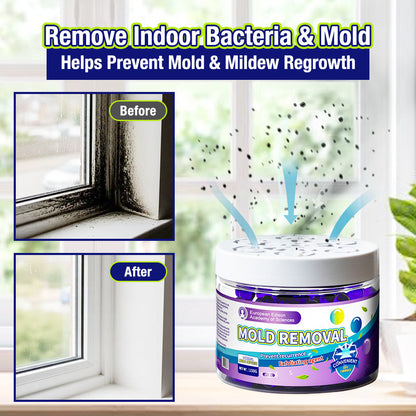 Movlive® Indoor Mold & Mildew Clearing Magic Box