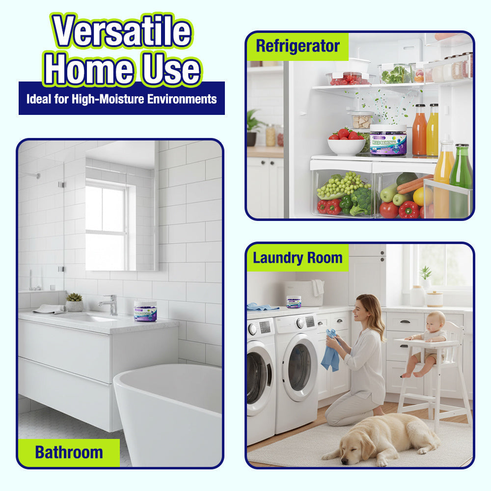 Movlive® Indoor Mold & Mildew Clearing Magic Box
