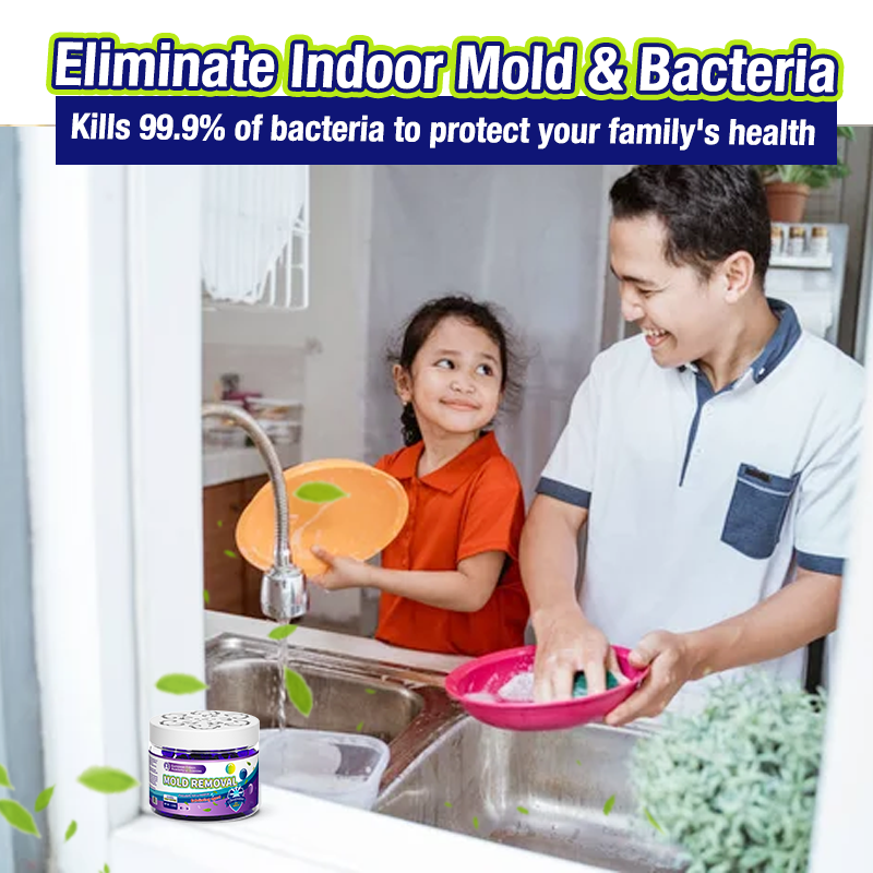 Movlive® Indoor Mold & Mildew Clearing Magic Box